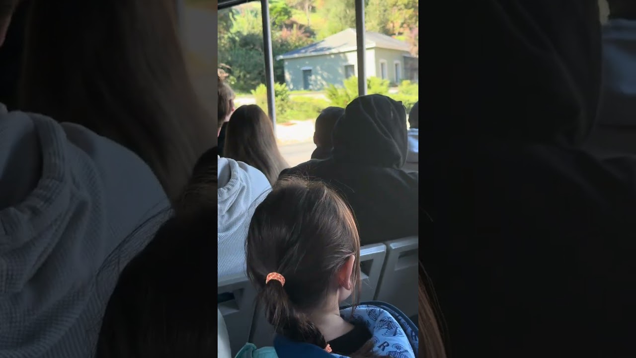 Отличные впечатления от Universal Studios 👍👍