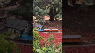 Choo Choo! 🚂 Amaze Park Miniature Train in Mandurah! #AmazeMiniaturePark #familyfun #Shorts #perth