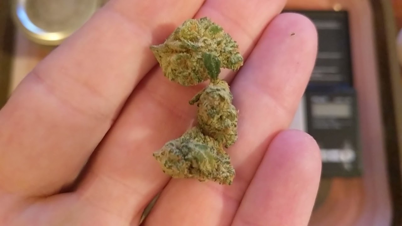 Marshmallow OG 18.6% Harvest