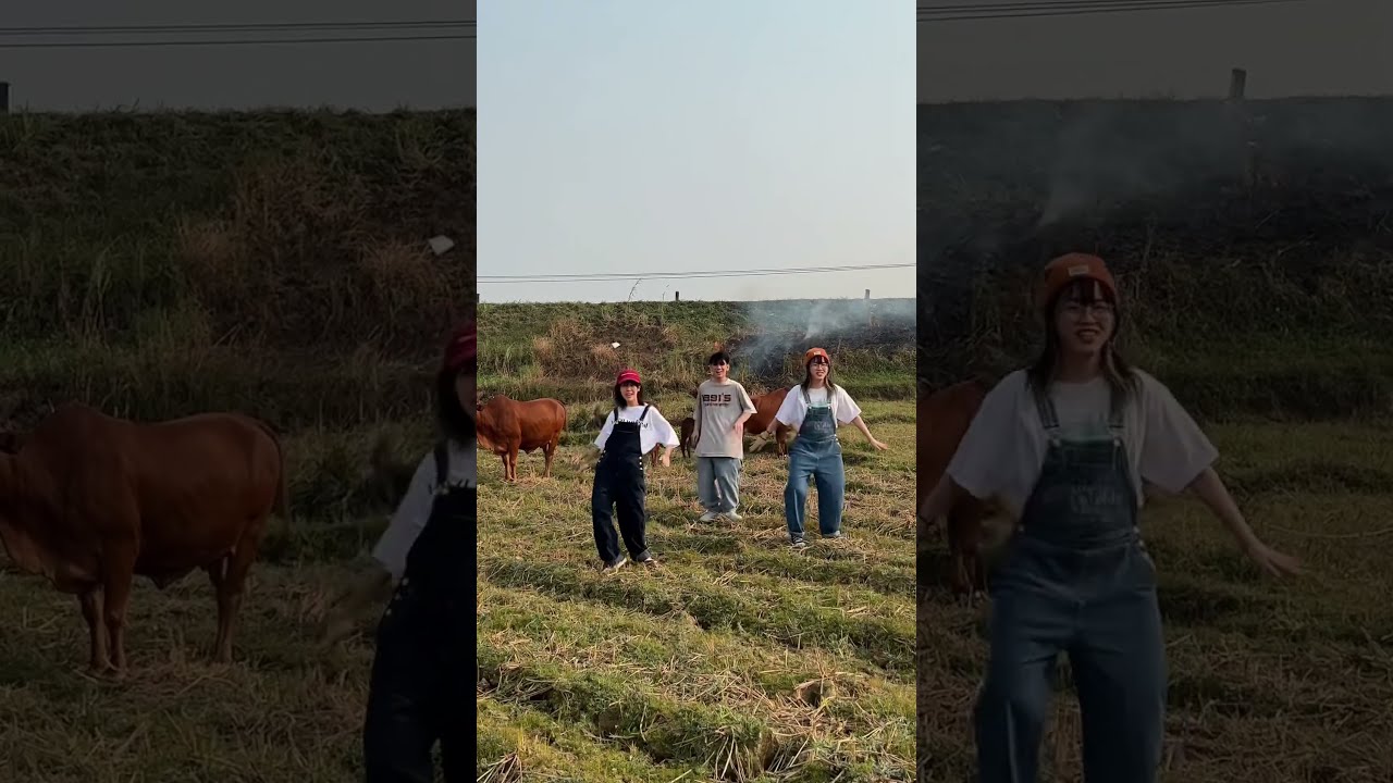 Đi chăn bò cầm cây roi thật to 🐂 Tuổi thơ tôi | Hậu Hoàng #shorts - youtube