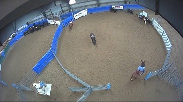 Big Sky Ranch Sorting Saddle Series #6 - #8 HC Ranch Hand - Round #1 - Ride #10