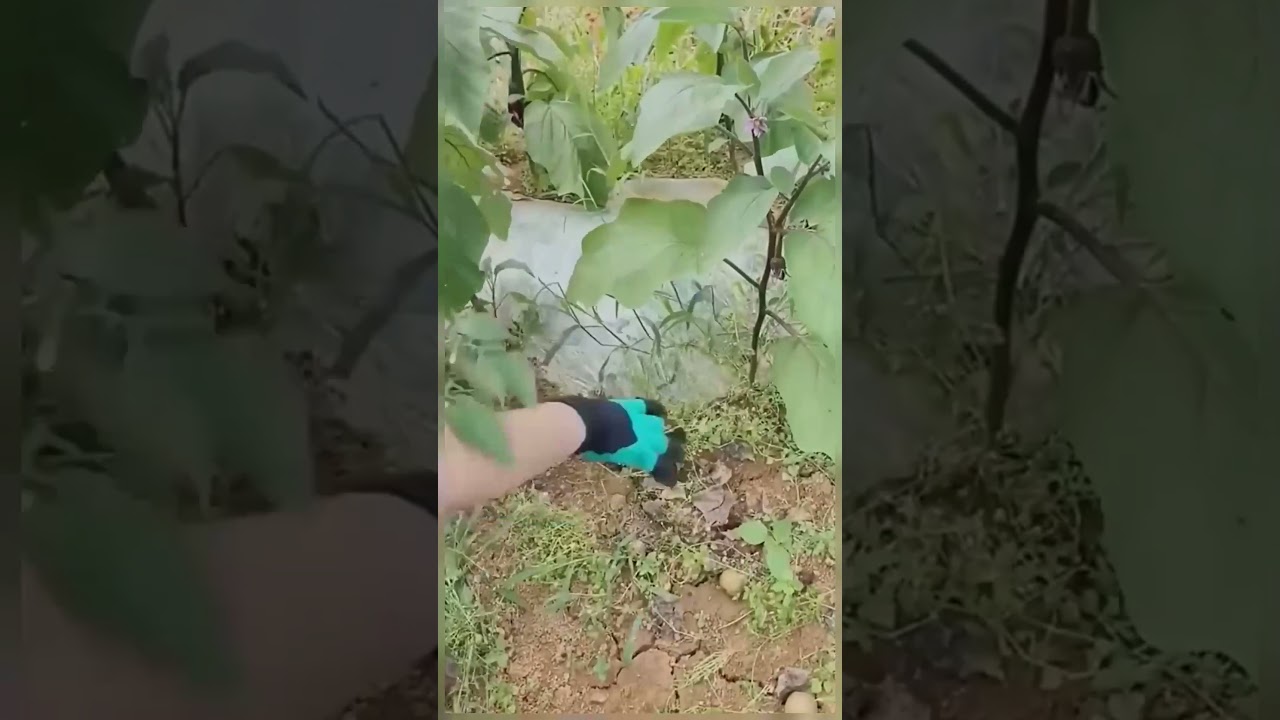 Transform Your Gardening Routine with These Claw Gloves!