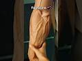Forearms workout | Forearms muscle growth Iforearms workout  #gym #body #motivation