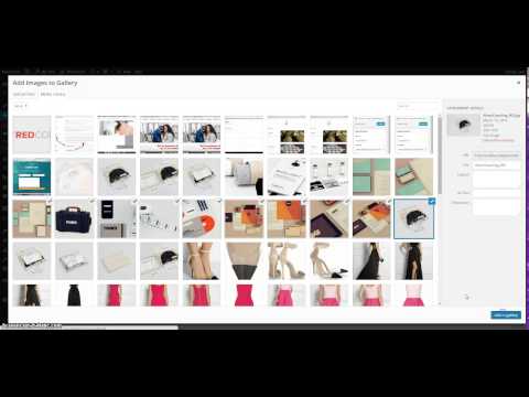 Create Scroll Gallery with Photoform