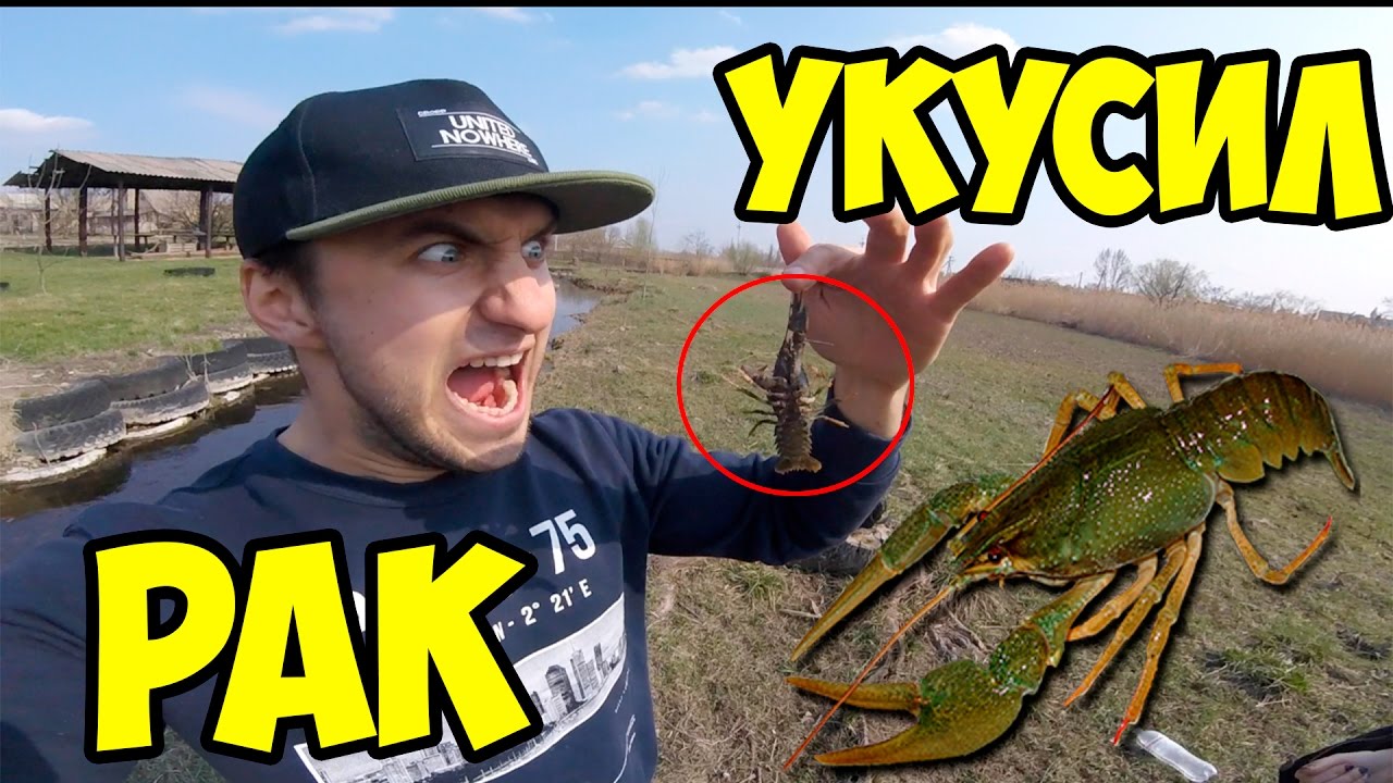 Какой гетц укусил