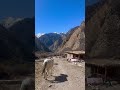 Trekking in Nepal 🇳🇵 | Himalayas Travel Adventure #travel #travelagency #nature #trek #nepal