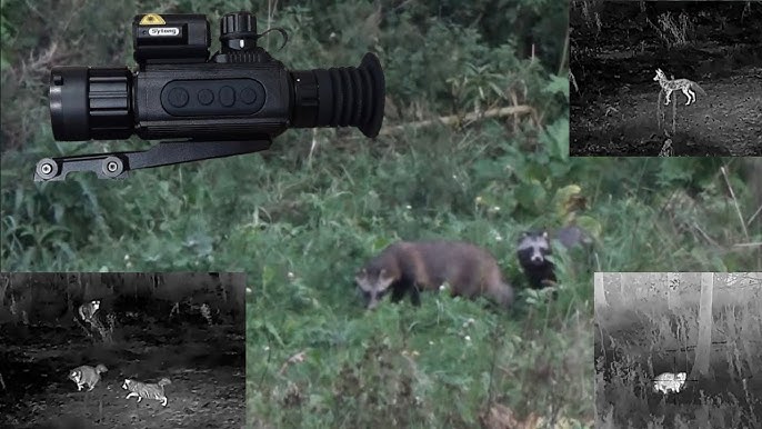 Seks shabnam tojikistan