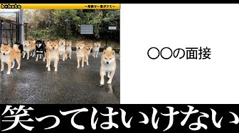 神回 笑ったら負けのgif画像がツッコミどころ満載だったwwww 4 爆笑面白gif動画見ようぜwww Gifアニメ おもしろ動画 ツッコミ系youtuber 天才的gifボケて Youtube 神回 笑ったら負けのgif画像がツッコミどころ満載だったwwww 4 爆笑面白gif動画見ようぜwww Gifアニメ おもしろ動画 ツッコミ系youtuber 天才的gifボケて Youtube