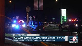 Columbia man dies after being struck by vehicle