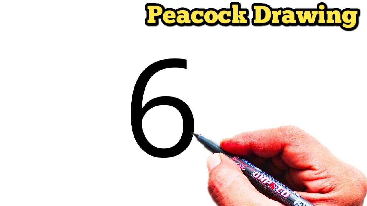 Easy Peacock Drawing From 6 Number | Number Drawing
