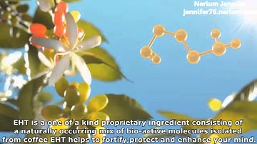 Brain supplement of  Nerium EHT