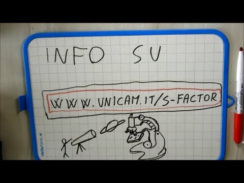 Metti in gioco la scienza! |  S-factor 2019 #utilmente