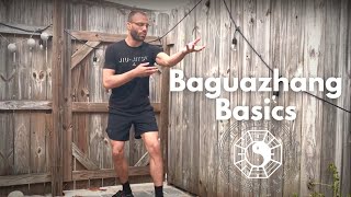 Special Kung Fu Drill To Develop Coiling Power - Linear Baguazhang Basic Drill