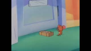 Tom And Jerry Kids - Bat Mouse