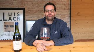 Celler Vall Llach owner Albert Costa - Priorat 2022 red wine
