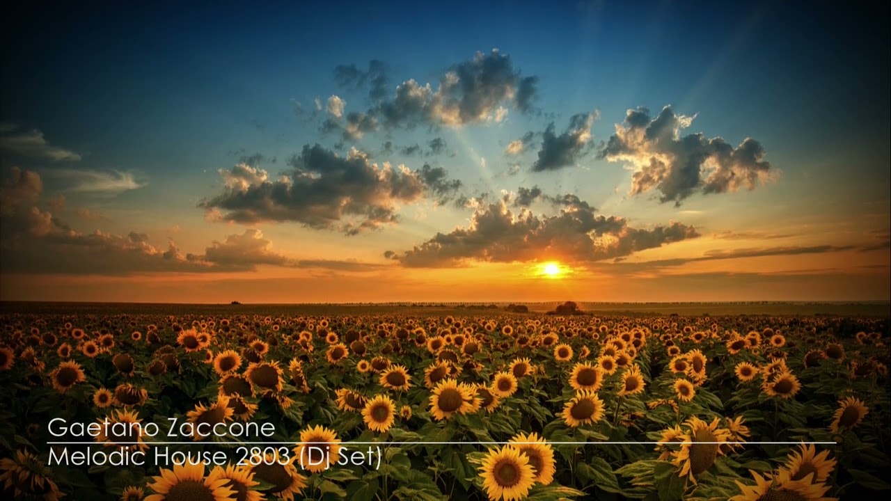 Melodic House - Dj Gaetano Zaccone 2803