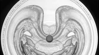 Wavegenerator Mental