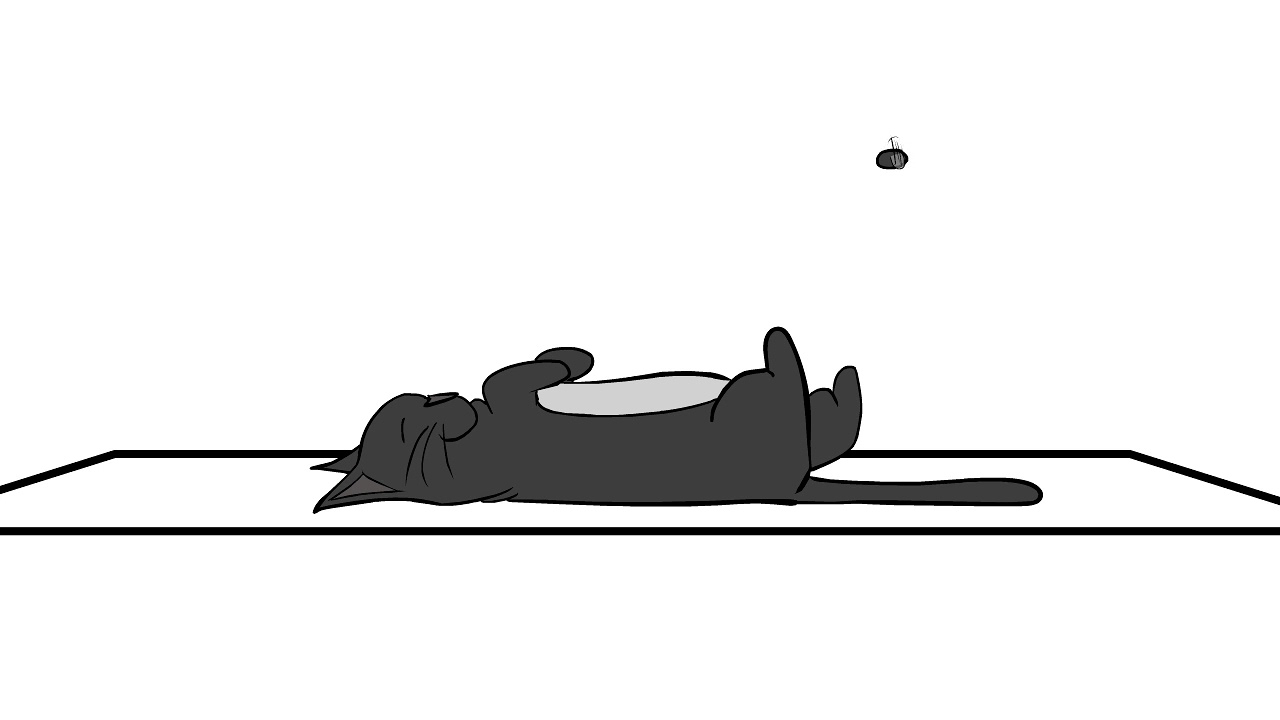 "Fat Cat" Animated Quicky