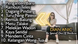 PENGANTEN BARU - RAMBUT TELES - DAGANG PINDANG | DIAN ANIC | THE SPECIAL ONE OF PANTURA