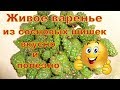 Живое варенье из сосновых шишек.Часть 1.