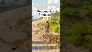 Biraları Çaldı Pegomastax Ile Imtihanımız