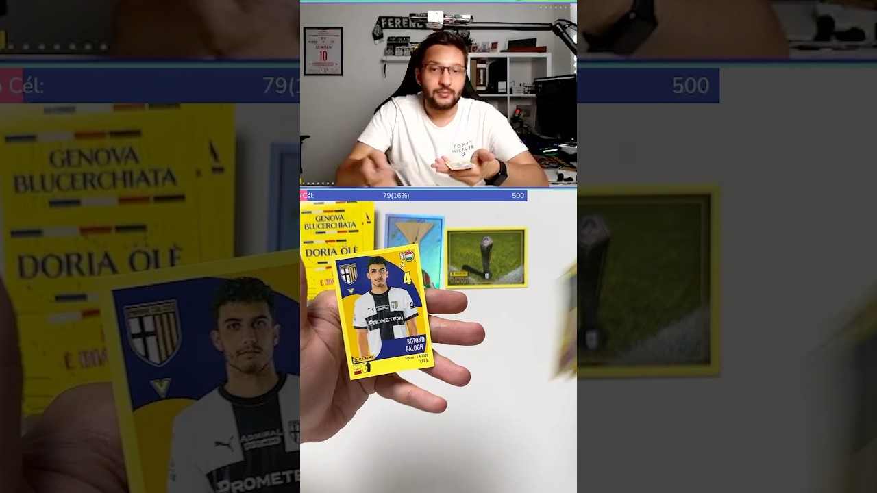 DUPLA MAGYAR MATRICA🇭🇺 