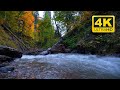 🌲 Forest Stream Nature Sounds (12 HOURS). Mountain River with Birdsong &amp; Nature Sounds
