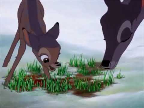 უბედური  ქორბუდა