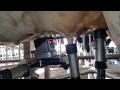 vms delaval