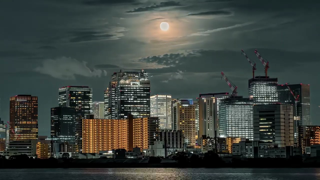 We Rise Together 🌴 Chill Reggae Vibes