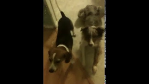 Look away-fading prompt