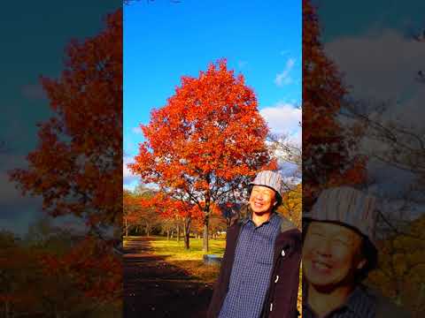 弘田三枝子の名曲『ロダンの肖像』　なかにし礼作詞、川口真作曲