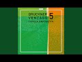 Miniature de la vidéo de la chanson Symphony No. 5 In B Flat Major (Version Of 1878): Adagio. Sehr Langsam