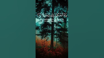 انسى همومك واستمع إلى جمال القرآن الكريم 🕋🤲🏻 بصوت الشيخ محمد صديق المنشاوي 💙💜