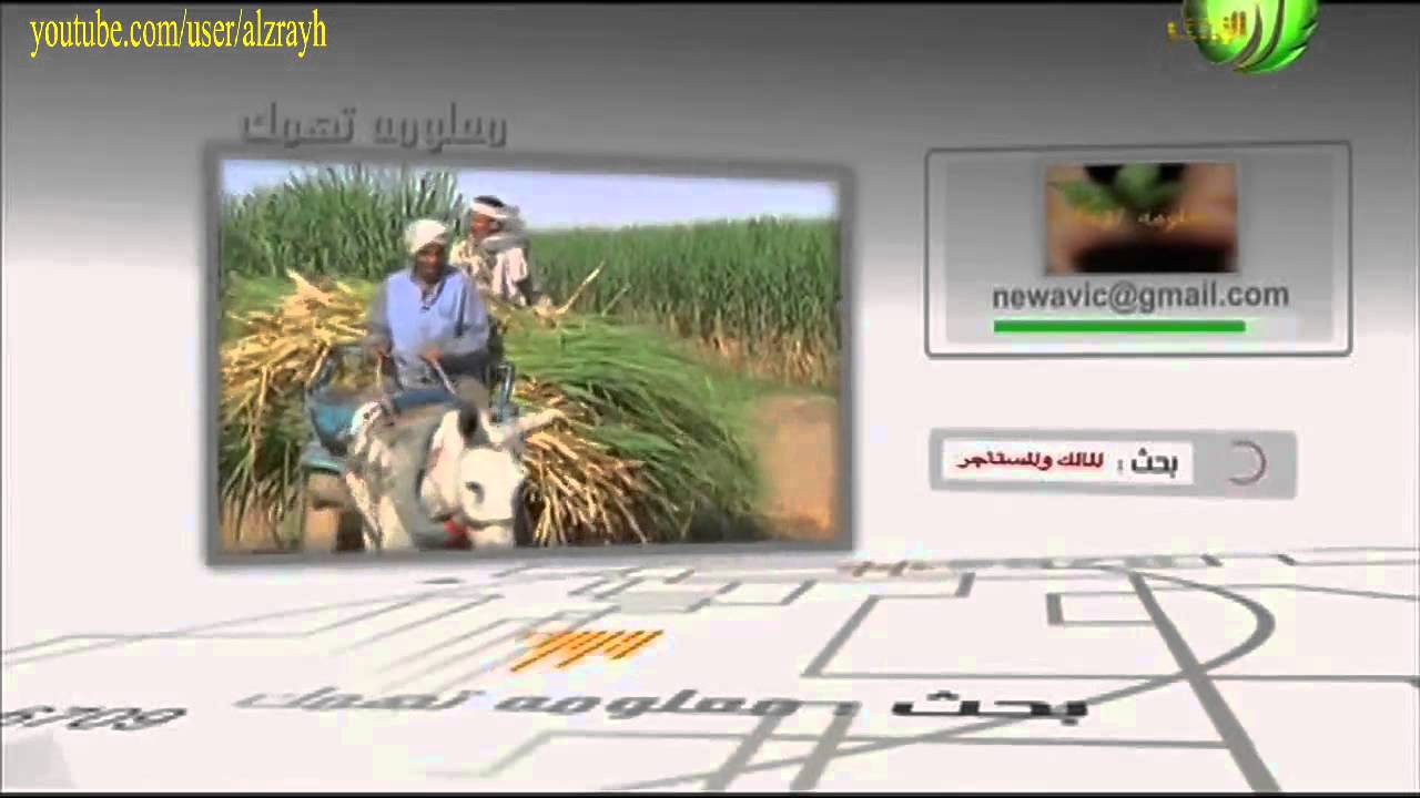 معلومات هامة عن علاقة مالك الارض الزراعية و المستاجر و العقد و الايجار