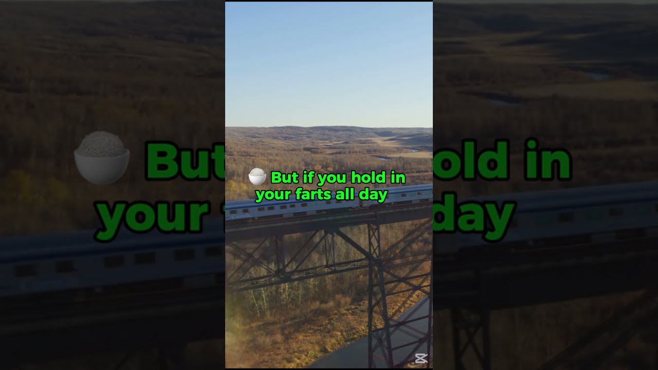 How Much Does a Fart Weigh? 💨😂 