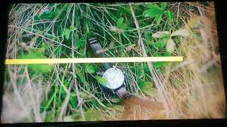 Skycrime Ident - 26Th September 2021