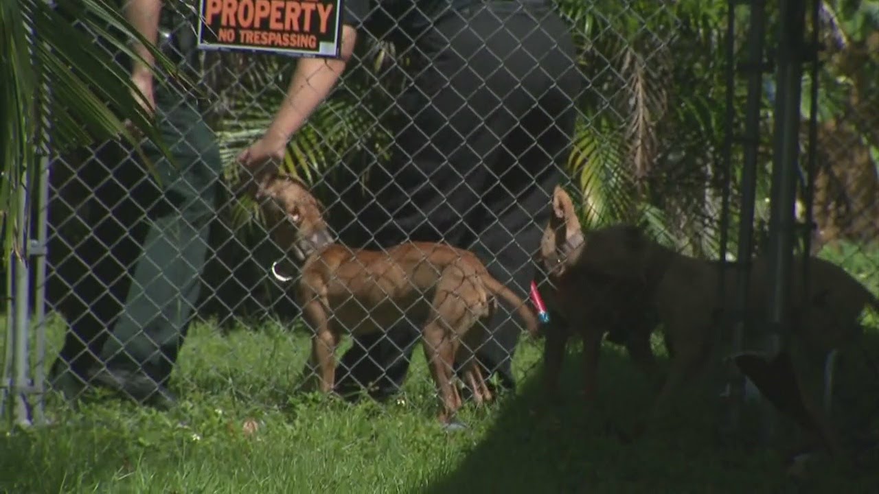 Tamarac Man Cited In Animal Cruelty Investigation