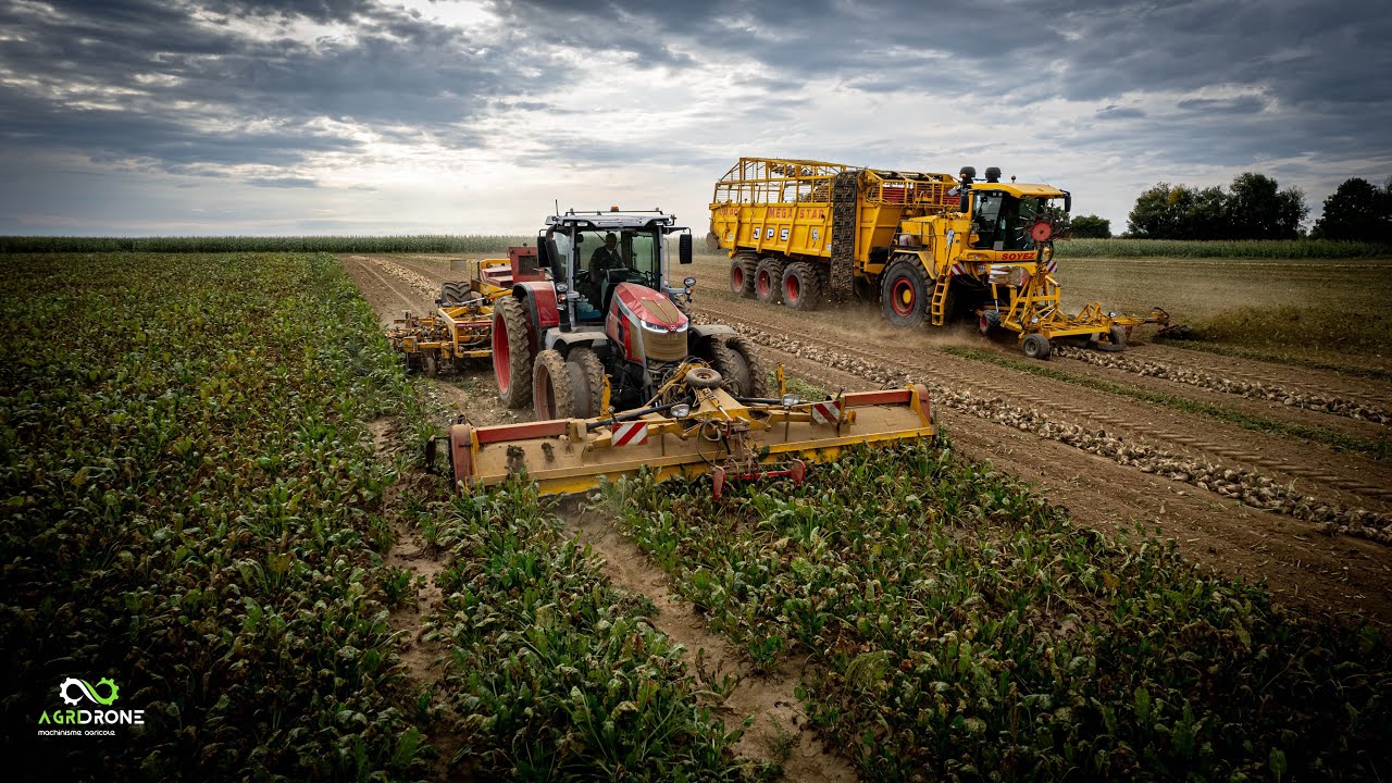 [TRAILER] Arrachage betteraves 2024 avec JPS CONSTRUCTION SOYEZ