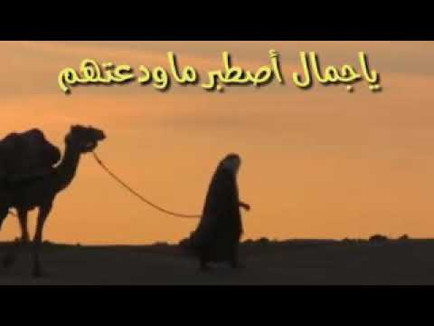 يجمال اصطبر ماودعتهم