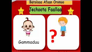 Afaan oromoo Faallaa jechootaa screenshot 4