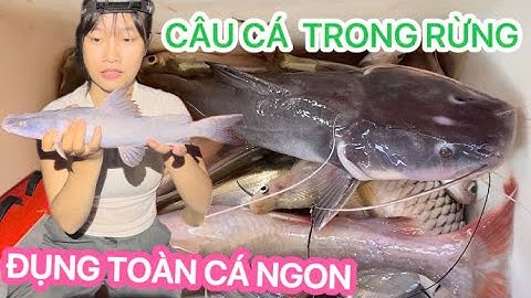 2 Ngày 1 Đêm Câu Cá Trong Rừng Biên Giới Campuchia !