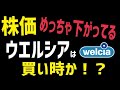 業績好調なのに株価大暴落のウエルシアは買い時かを考察！【人気株主優待】