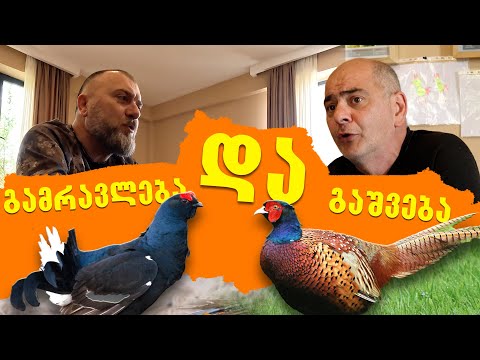 საუბრები ნადირობაზე / გოჩა კობერიძესთან