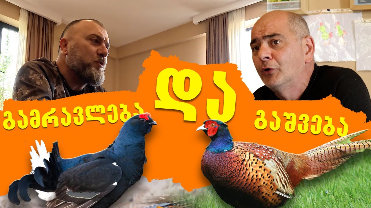 /   - YouTube