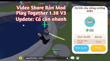 Video Share bản Mod Script V3 PlayTogerther 1.38 lọc bóng cá, bổ củi, cá  đớp max speed | Teng Tv