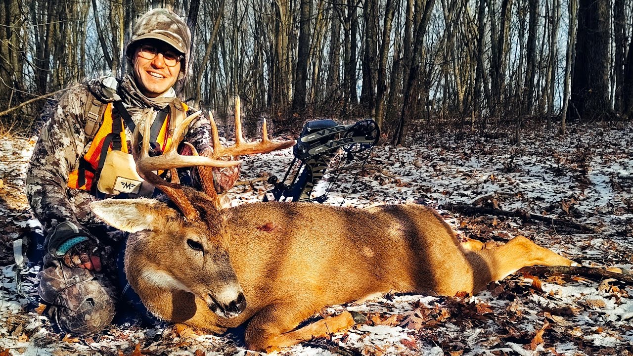 Hunting Buck Bedding - Ohio Whitetail 