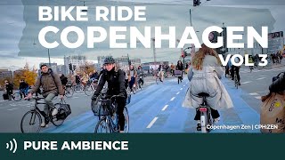 🚲 Relaxing Copenhagen Bike Ride Vol 3 | Late Autumn Ambience Before the Local Elections No Music 4K screenshot 1