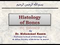 Histology of bones