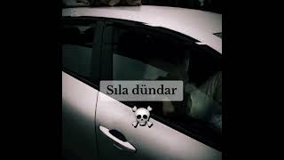 En Iyi Çığlık Atan Fenomenler